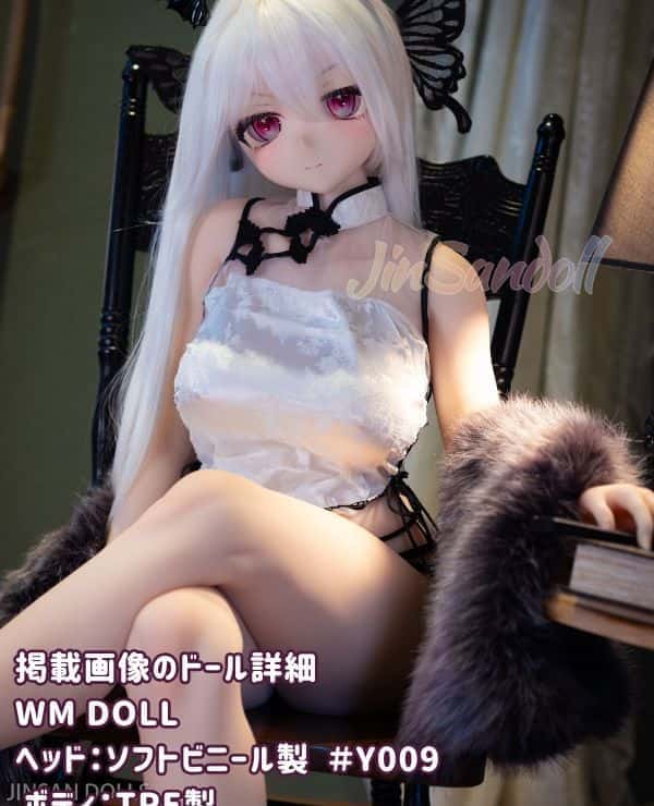 WMDoll 157cm Y009 Head Review: B-cup love doll with soft vinyl head and TPE body, real girl experience as a customizable anime doll, cost-effective as a sex doll