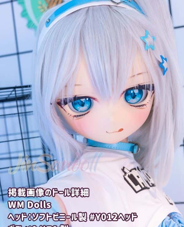 WMDolls 140cm Y012 Head Soft Vinyl Head and Silicone Body B Cup Anime Style Love Doll Sex Doll Reasonable Price