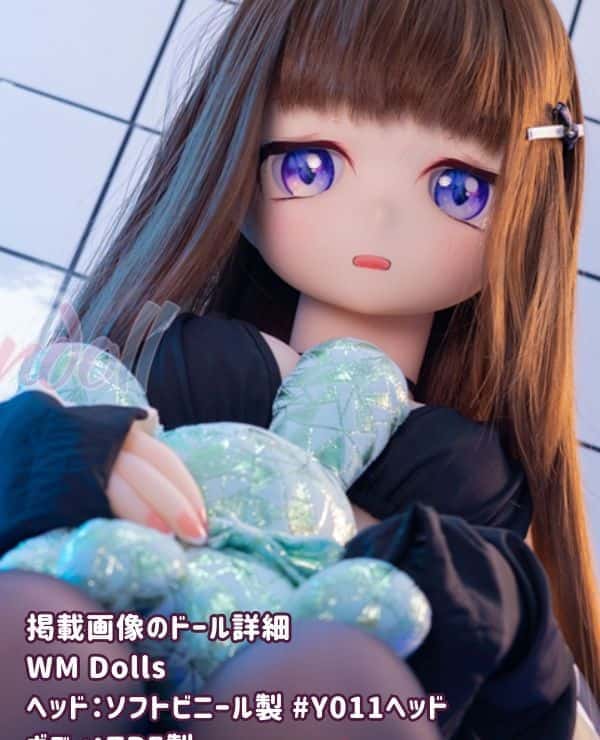 WMDolls 140cm Y011 Head - A thorough review of the anime doll with a soft vinyl head and TPE body! We look into the appeal of the B cup and its cost performance.