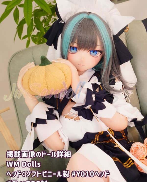 WMDolls 159cm Y010 Head Soft Vinyl Head + TPE Body Mini Anime Doll Love Doll, Sex Doll Review: Incredible Cost Performance