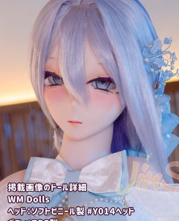 WMDolls 160cm Y014 Head Soft Vinyl Head + TPE Body I Cup Anime Doll Love Doll Sex Doll Low Price